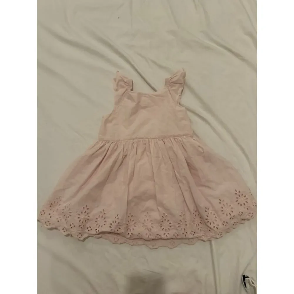 Baby Gap Flutter Pink Eyelet Dress 3T